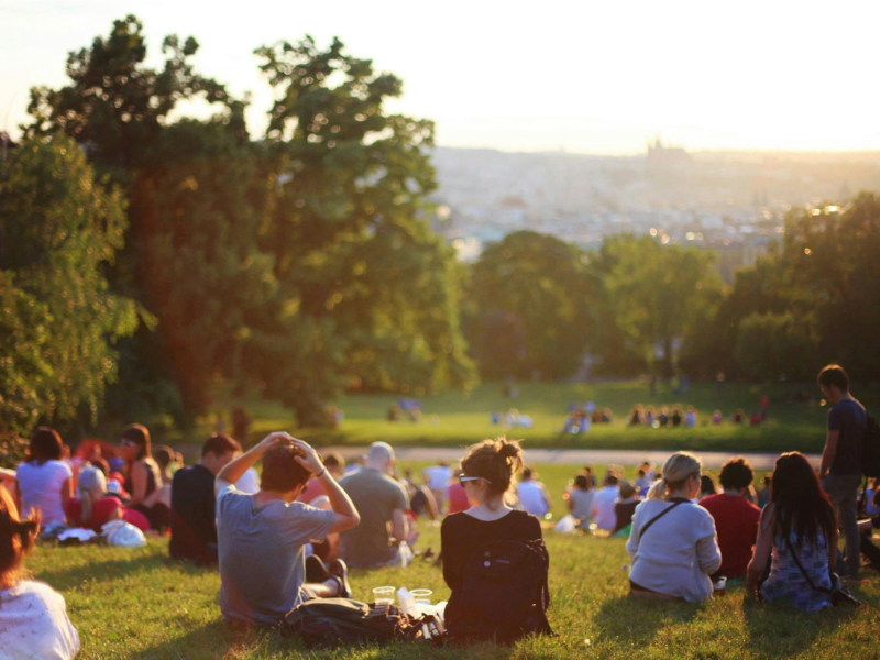 Community and Social Benefits of gardening