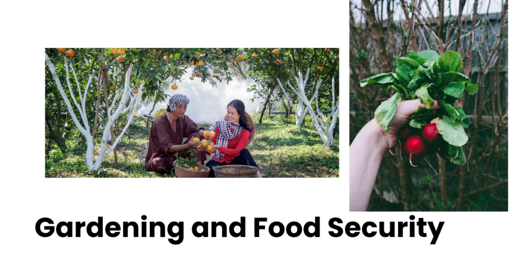 Food Security and Gardening