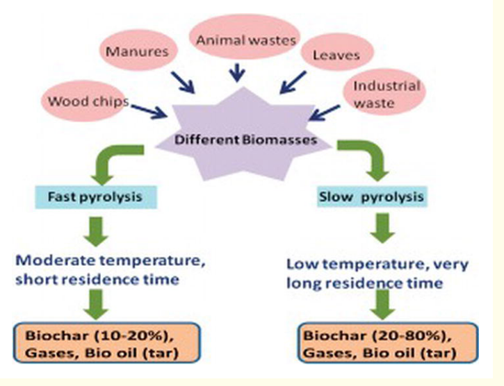Biochar production from different biomasses