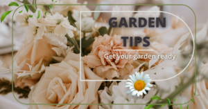 Garden Tips | Get your garden ready | Top 10 Gardening Tips for Beginners